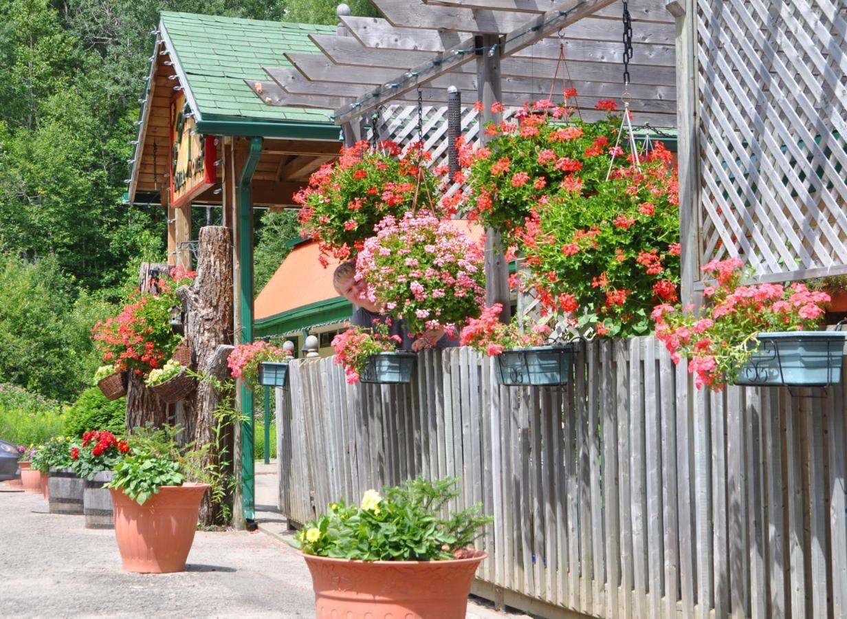 Le Boise Du Lac Mont-Tremblant Buitenkant foto